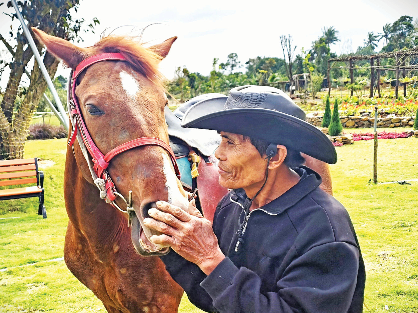 Vẳng nghe vó ngựa Thì Thùng