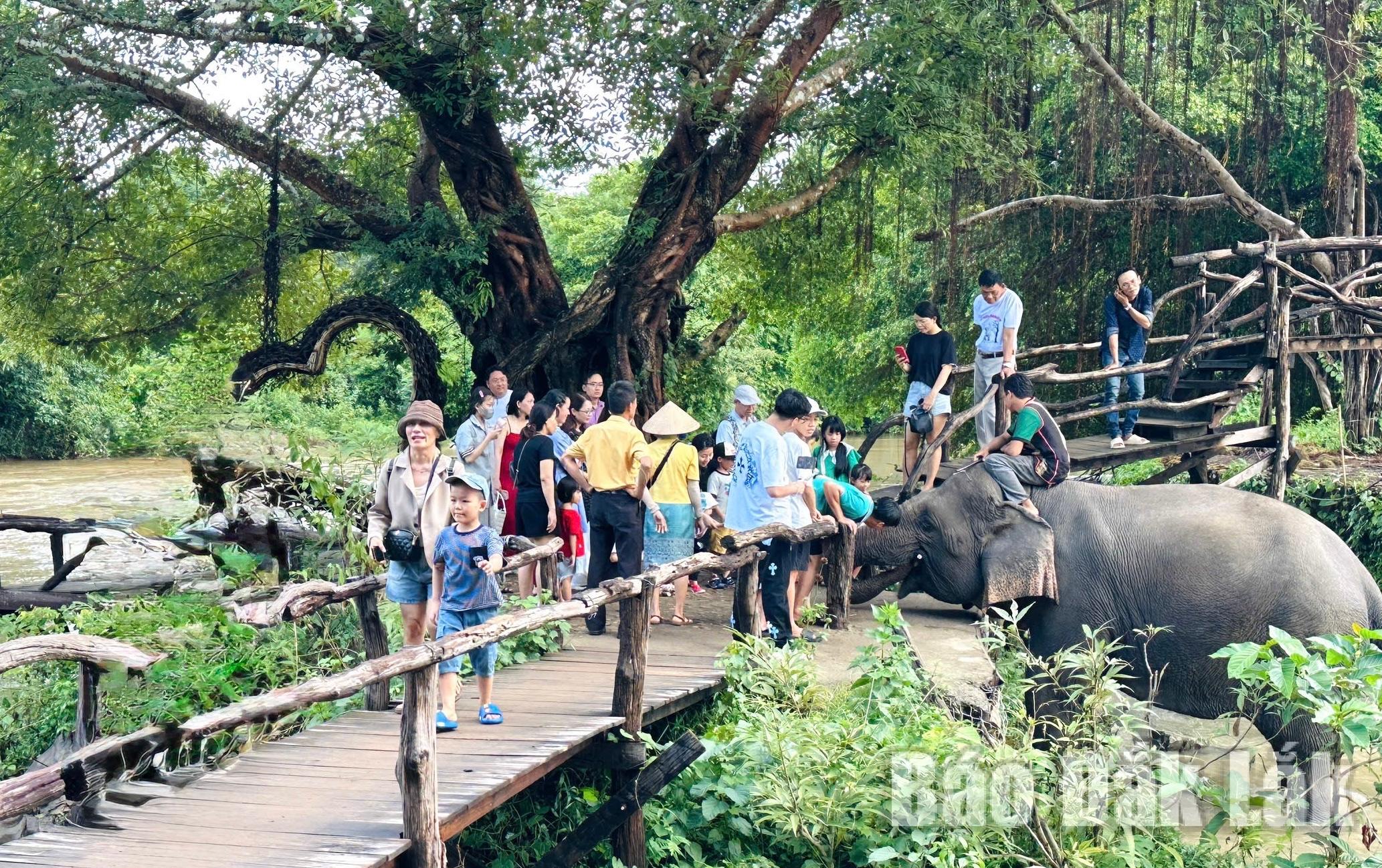 trai_nghiem_voi_20260210181440