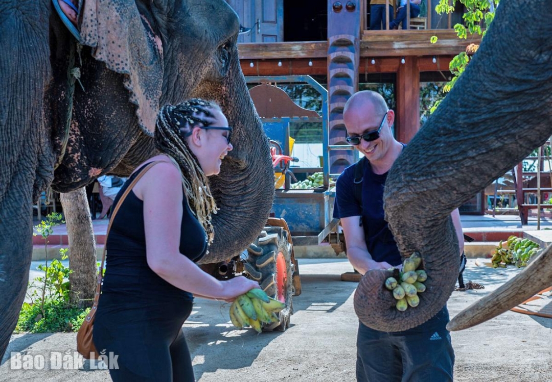 z7170412836119_4544336623122ef8c257f7aeaf8573e8_20251101063225